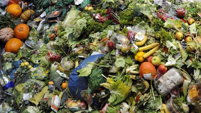 Pour une loi européenne contre le gaspillage alimentaire